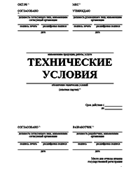 Сертификат соответствия ТР ТС Набережных Челнах Разработка ТУ и другой нормативно-технической документации